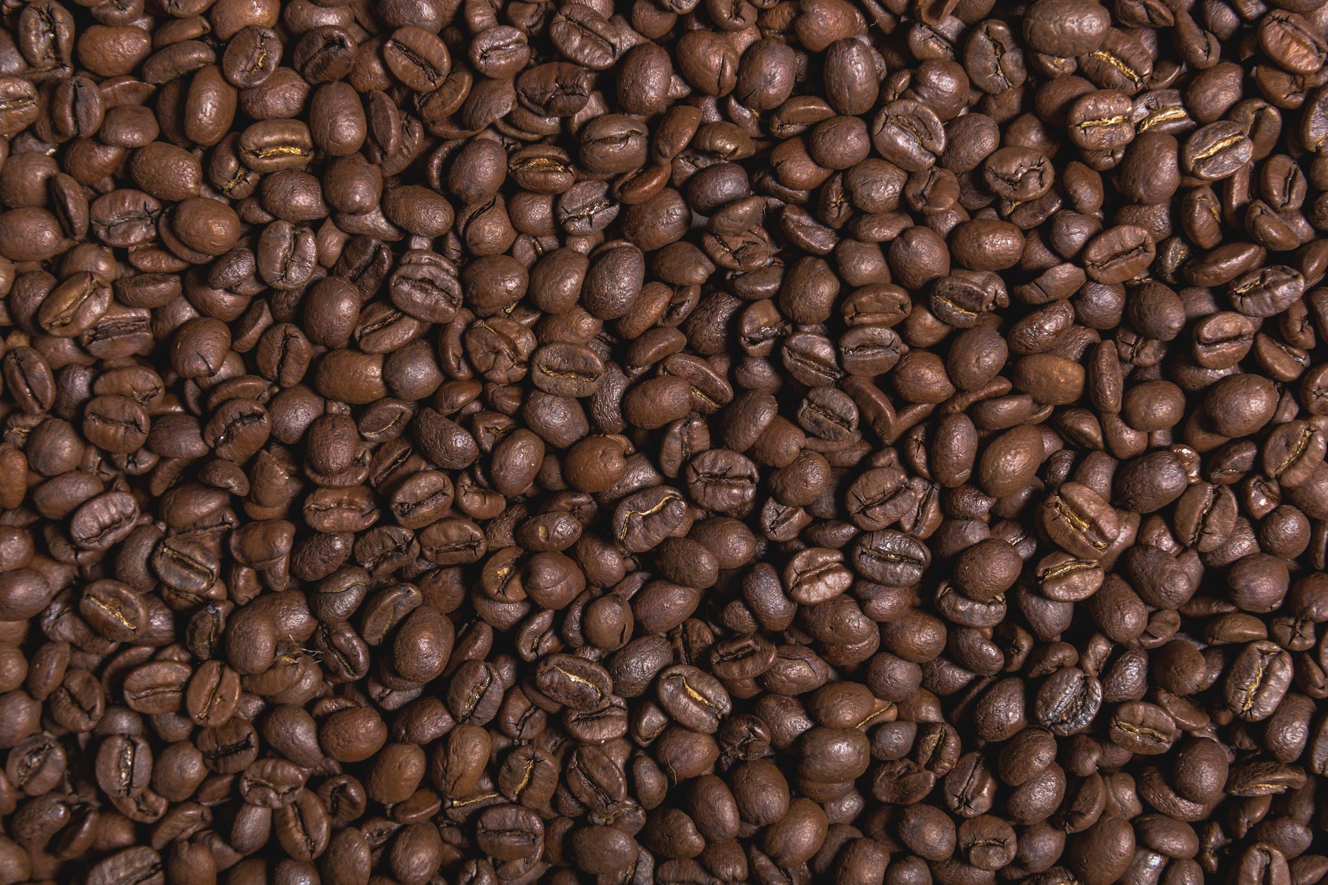 RENT OR BUY Coffee Machines